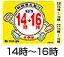 14���`16��